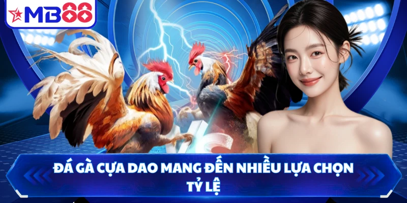 Đá gà cựa dao mang đến nhiều lựa chọn tỷ lệ