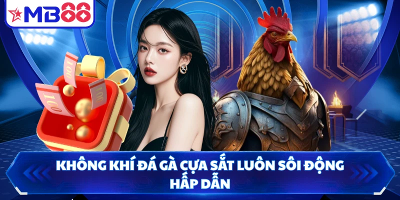 Không khí đá gà cựa sắt luôn sôi động hấp dẫn